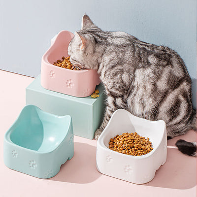 Ceramic bowl for pets